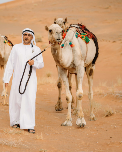 الهداة