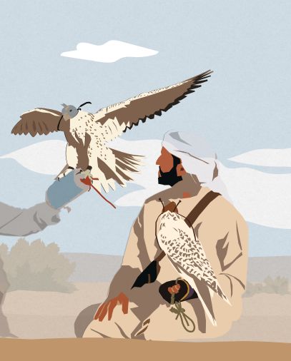 Falconry Activity Guide