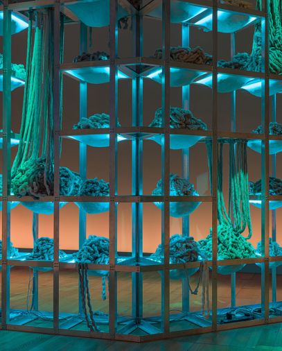 NYU Abu Dhabi Art Gallery 