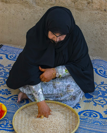 الهريس