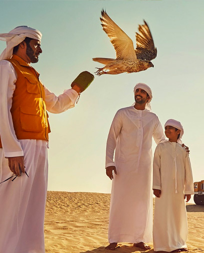 الصقور